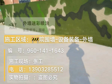 四川 迷彩漆喷涂价格(按平方米计费)